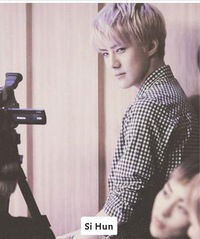 Амина Даирова