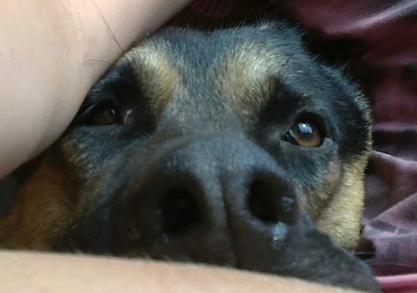 Алена Плотникова