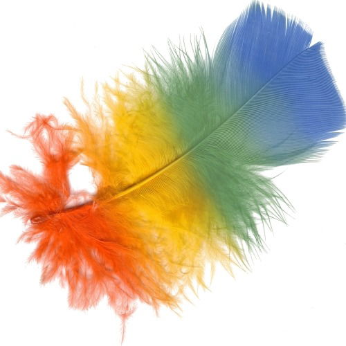 Максим Журов