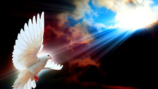 Лариса Дорошева