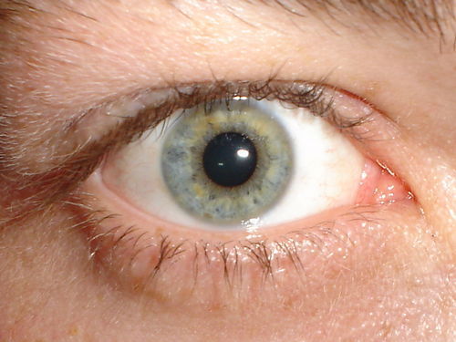 Юрий Дрокин