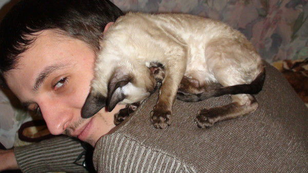 Дмитрий Карасик