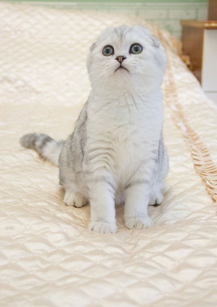 Ирина Панькова