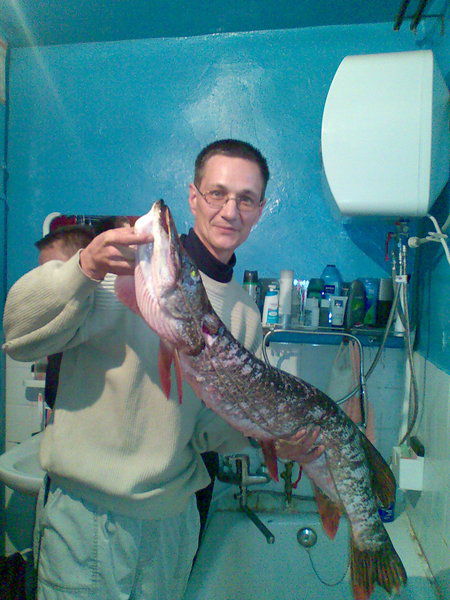 Сергей Степанов