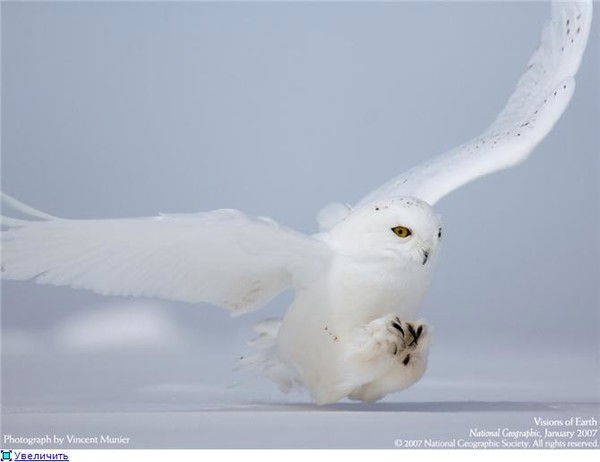 Ирина Новичихина