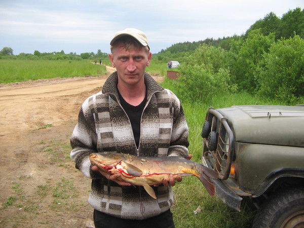 Леонид Дмитриев