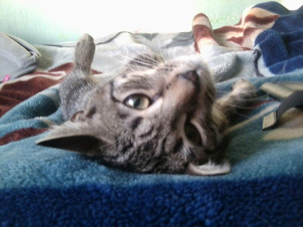 Максим Юшков