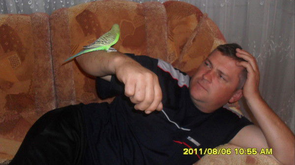 Олег Писаренко