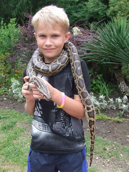 Ярик Княжев