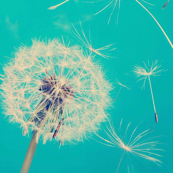 Анастасия Новикова