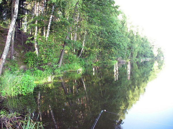 Александр Павловский
