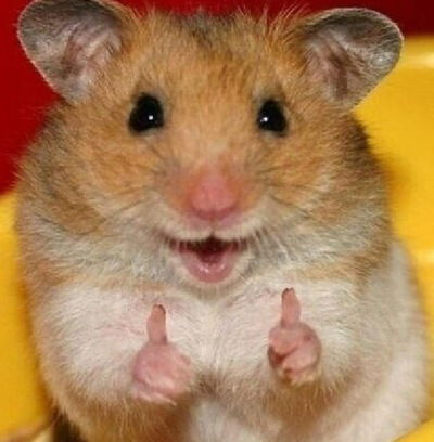 Алина Тухватуллина