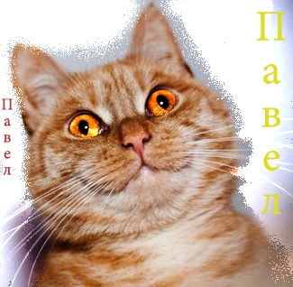 Павел Греков