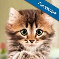 Галина Боровская