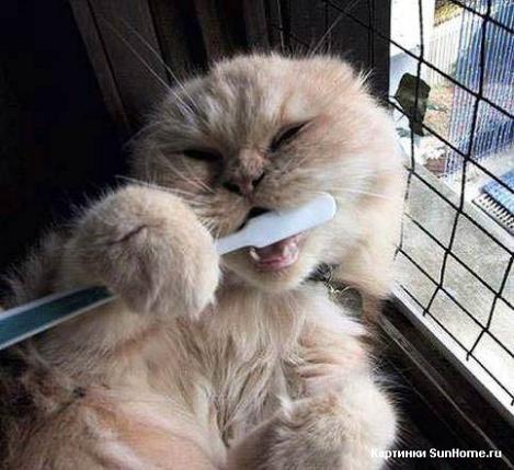 Светлана Бушуева