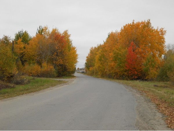 Татьяна Полтавец