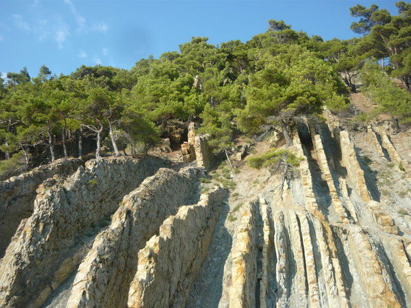 Елена Позднякова