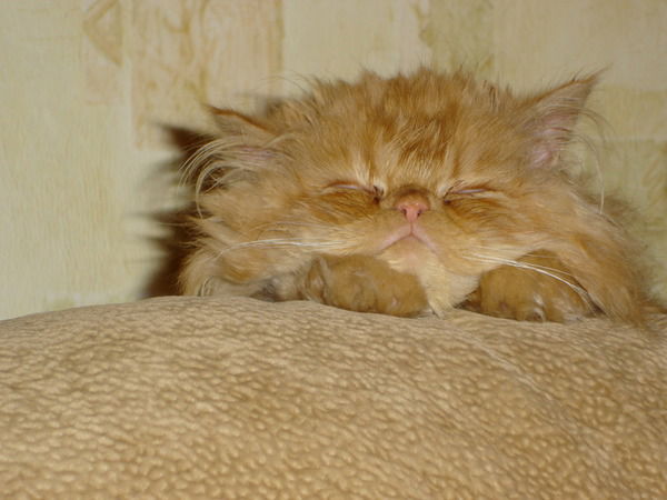 Наталья Федорова