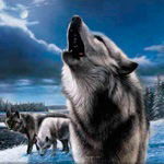 Алексей Мякотин