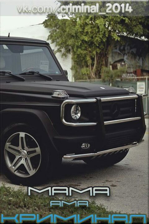 Максим Мельников