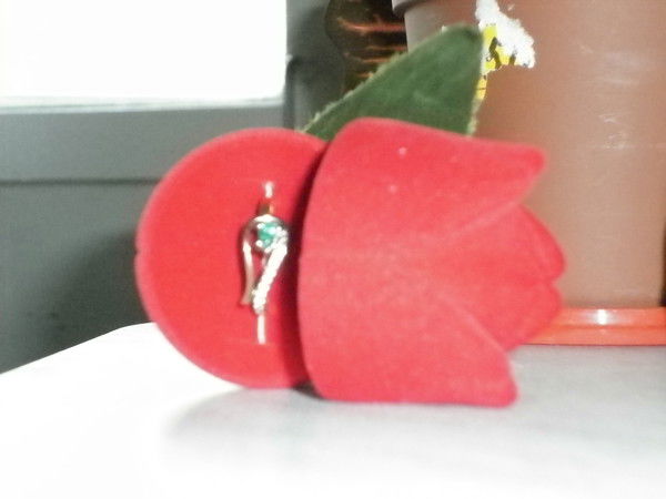 Лунная Краса