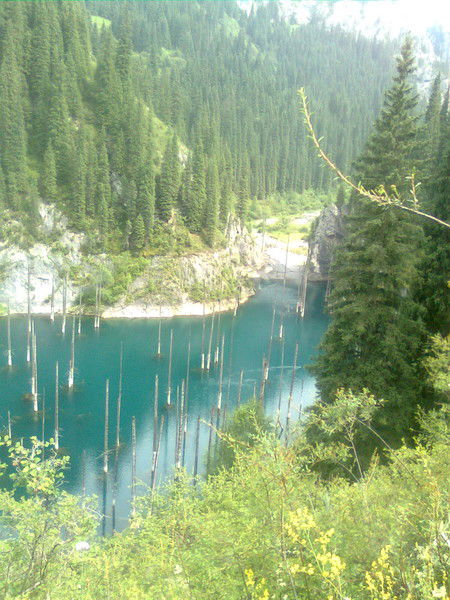 Карлыгаш Есимбаева