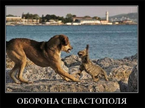 Сергей Толмачев