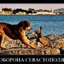 Сергей Толмачев