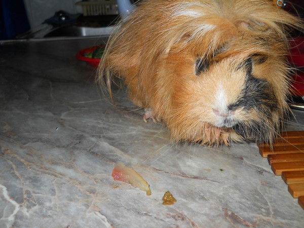 Юлия Федосеева