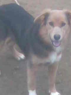 Ад!лбек Альбек