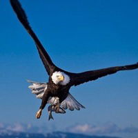 Андрей Меркулов