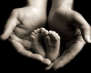 Елена Антипина