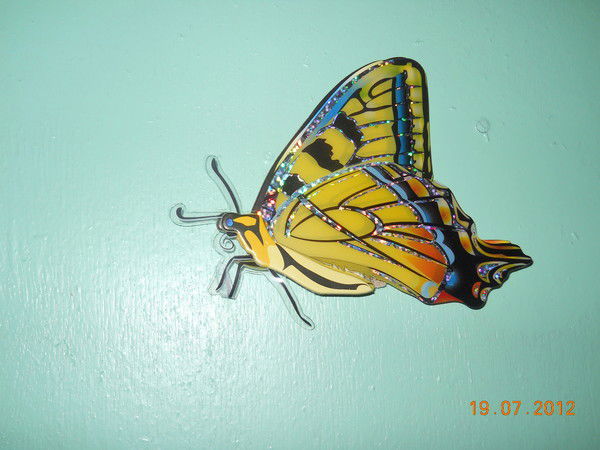 Светлана Быкова