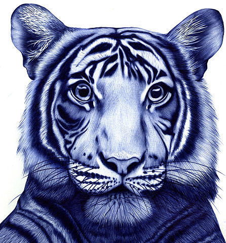 Техномир Техномир