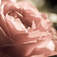 Нина Смирнова