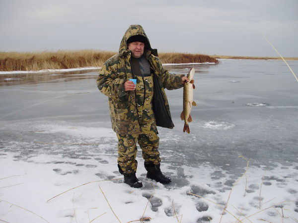 Юрий Неверов