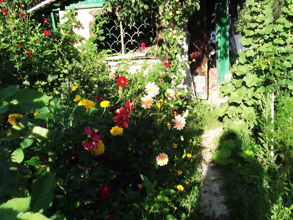 Павел Давыдов