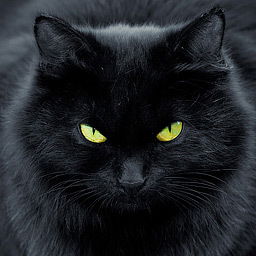 Дмитрий Кортуненков