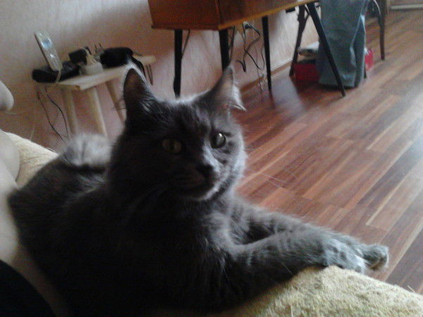 Алла Ермакова