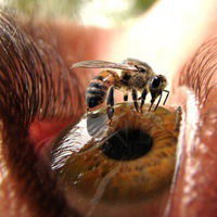 Шахрух Абдукадиров