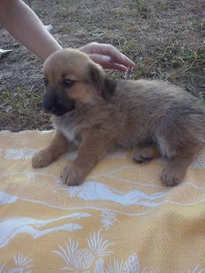 Игнат Киричок