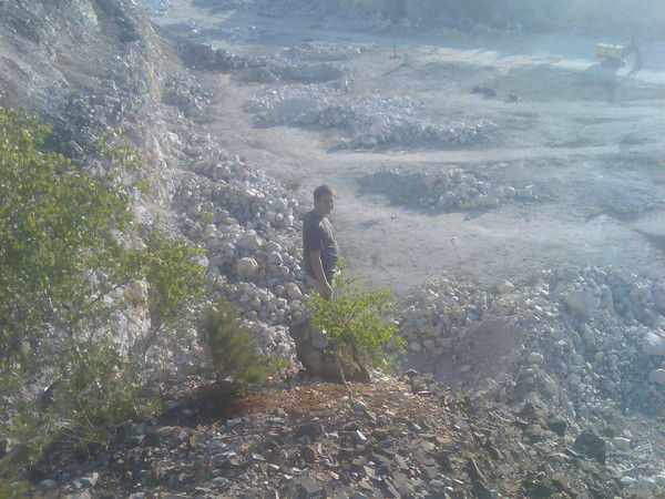 Сергей Лукоянов