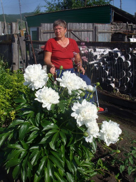 Людмила Иванова