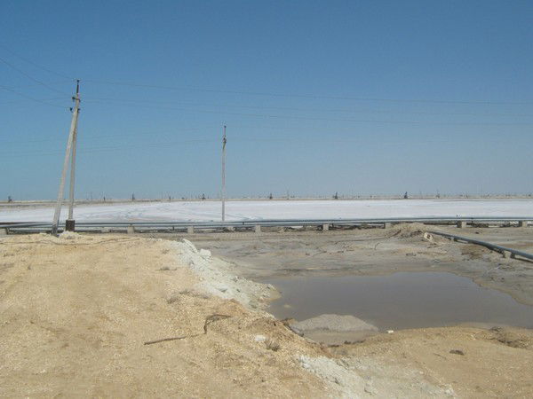 Сергей Фирсов