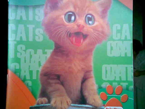 Сергей Комаров