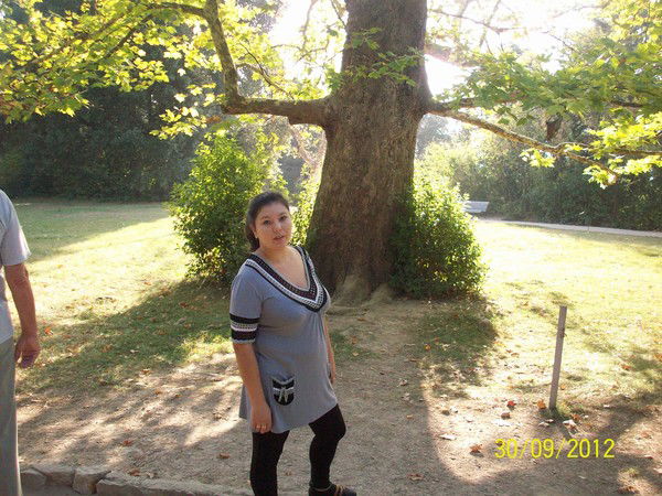 Севиля Рыба