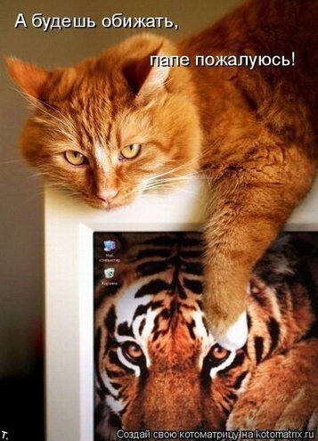 Кирдун Татьяна