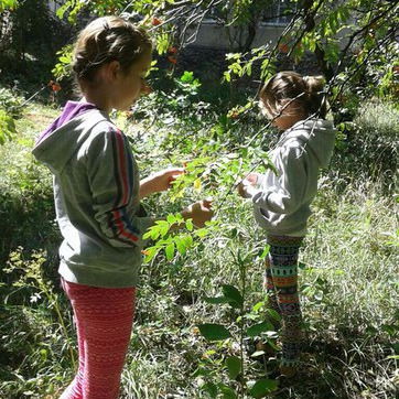 Викусик Сергеева