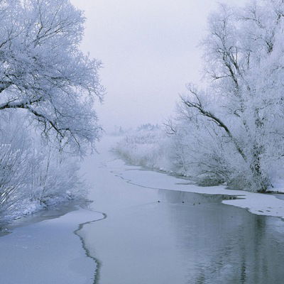 Ваня Іваненко