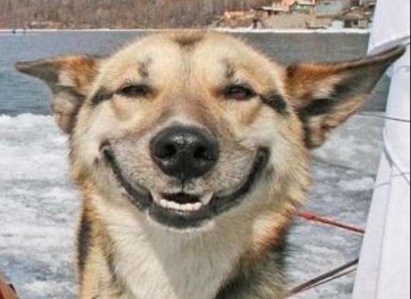 Юрий Смирнов